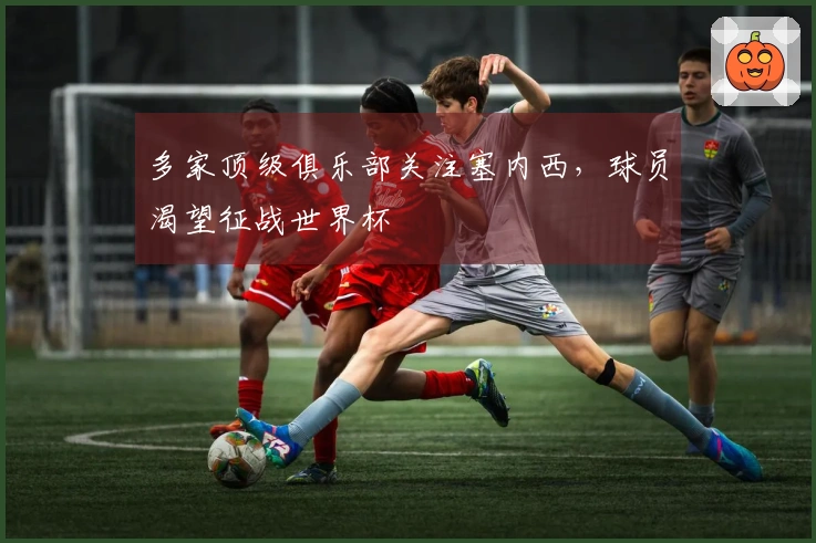 多家顶级俱乐部关注塞内西，球员渴望征战世界杯