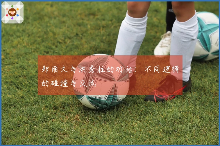 郑丽文与洪秀柱的对话：不同逻辑的碰撞与交流