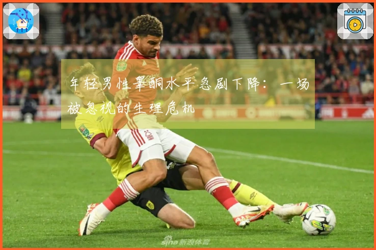 年轻男性睾酮水平急剧下降：一场被忽视的生理危机