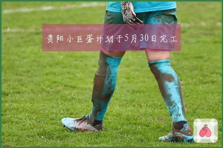 贵阳小巨蛋计划于5月30日完工