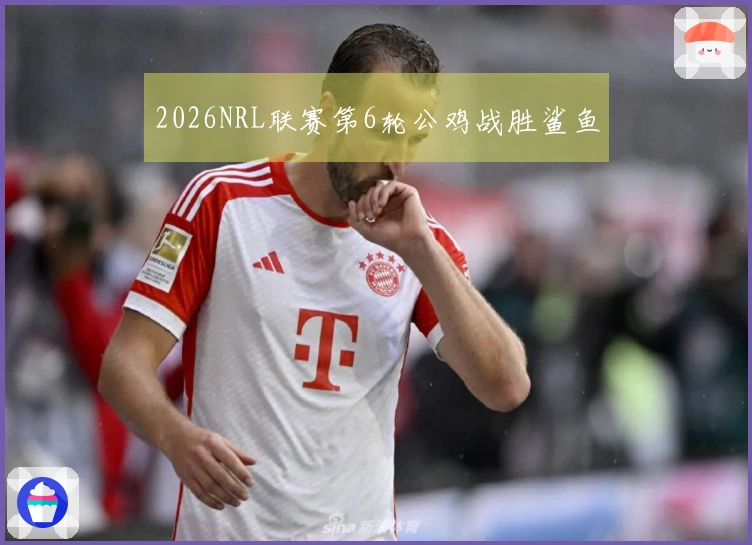 2026NRL联赛第6轮公鸡战胜鲨鱼