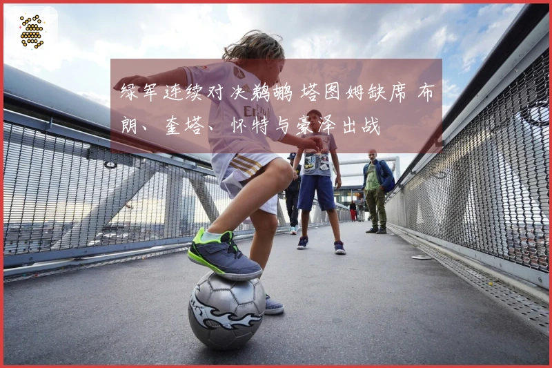 绿军连续对决鹈鹕 塔图姆缺席 布朗、奎塔、怀特与豪泽出战