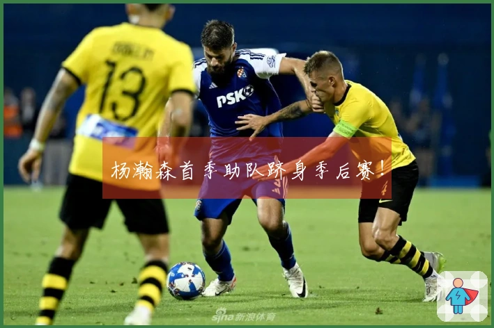 杨瀚森首季助队跻身季后赛!