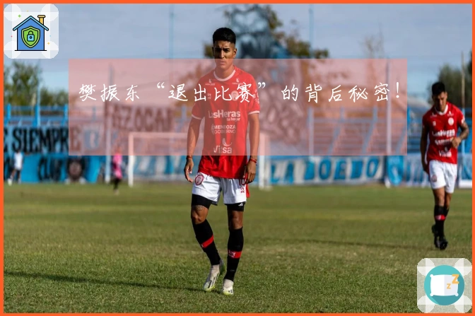 樊振东“退出比赛”的背后秘密！